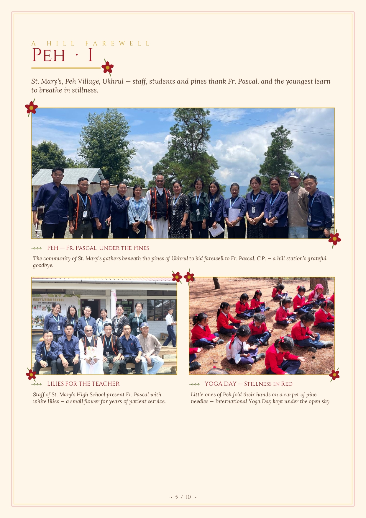 PIANO Newsletter 5
